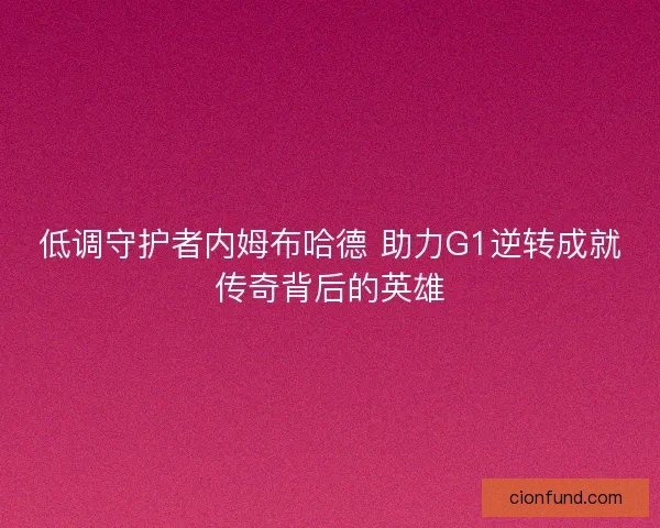 低调守护者内姆布哈德 助力G1逆转成就传奇背后的英雄